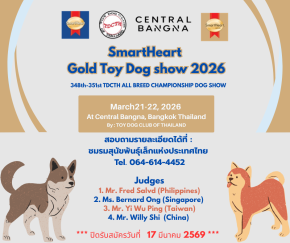 SmartHeart Gold Toy Dog show 2026
